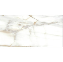 Dlažba Obklad imitace mramoru LUCCA Bianco Gold lesklá 30x60 cm