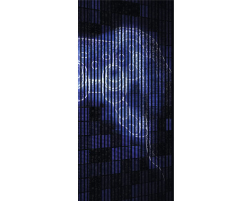Designový akustický panel DIGI06F 1133x19x2400mm Sprchová stěna s motivem