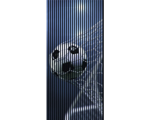Designový akustický panel DIGI06J 1133x19x2400mm Fotbalový míč v síti na pozadí s pruhy