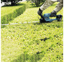 Osoba stříhá živý plot akumulátorovými nůžkami na živý plot Makita