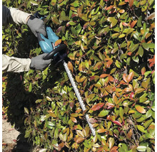 Osoba stříhá živý plot pomocí nůžek na živý plot.