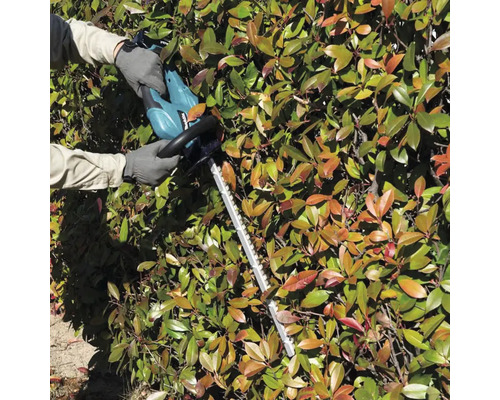 Osoba stříhá živý plot pomocí nůžek na živý plot.
