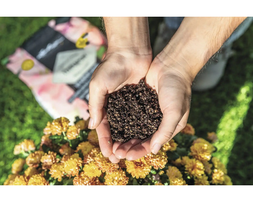 Osoba drží v rukou zeminu pro květiny na pozadí květin a balení zeminy pro květiny.