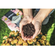 Ruce drží zeminu nad rostlinou