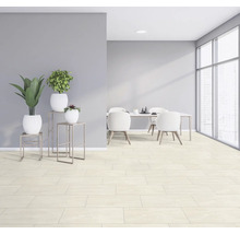 Světlá, prostorná místnost s jídelním stolem, židlemi, rostlinami a dlažbou