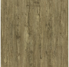 Korková podlaha Amorim 8.5 Tuscan Pine
