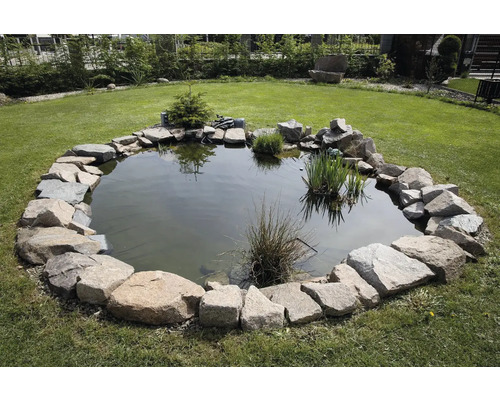 Zahradní jezírko s kamenným obrubníkem a rostlinami na trávníku