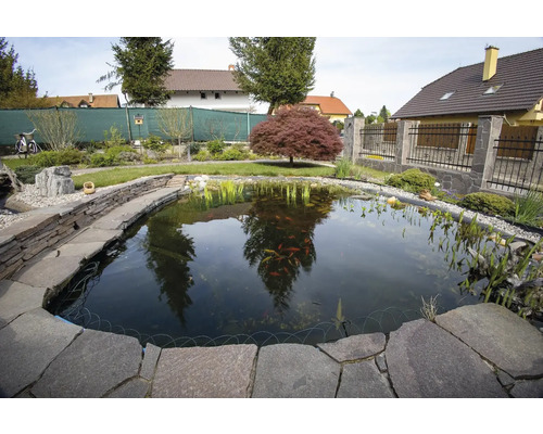 Zahradní jezírko obklopené kameny s rybami ve vodě