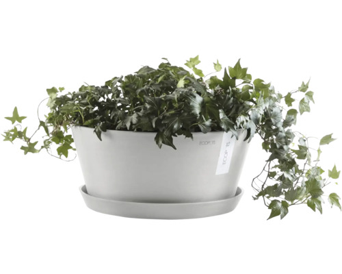 Květináč Ecopots s břečťanem