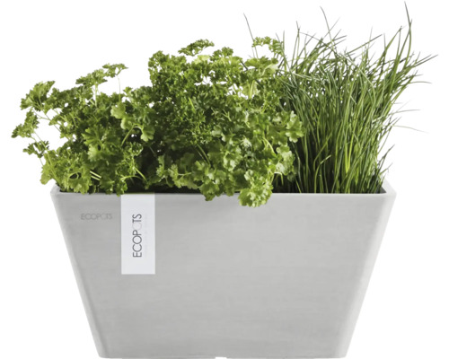 Květináč s petrželkou a pažitkou