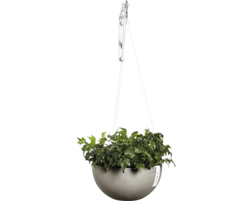 Závěsný květináč se zelenou rostlinou v šedém květináči.