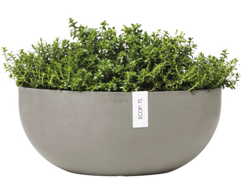 Půlkruhový květináč se zelenými rostlinami