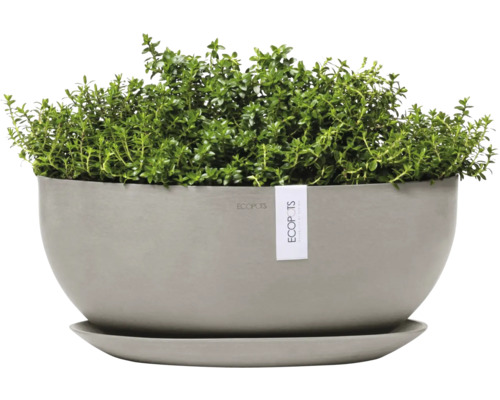 Květináč s rostlinou a podšálkem