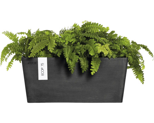 Obdélníkový květináč z plastu s kapradinou