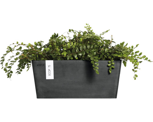 Obdélníkový truhlík s zelenou rostlinou