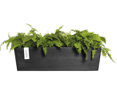 Obdélníkový květináč s kapradinou