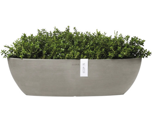 Oválný květináč se zelenými rostlinami