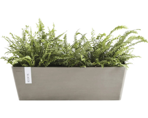 Obdélníkový květináč s kapradinou