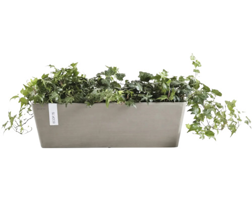 Obdélníkový truhlík s břečťanem