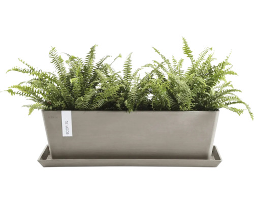 Obdélníkový květináč s kapradinou a podšálkem