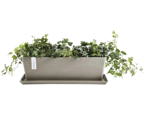 Obdélníkový truhlík s břečťanem