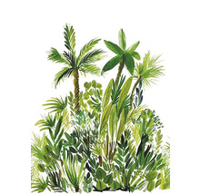 Ilustrace tropických rostlin s palmami