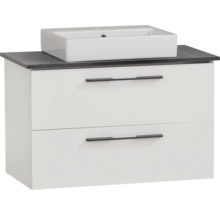 Skříňka pod umyvadlo se dvěma zásuvkami a umyvadlem na desku