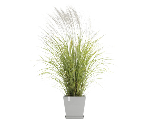 Tráva v šedém květináči