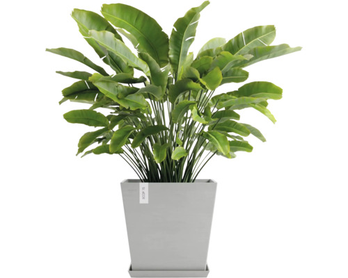 Umělá strelície v hranatém květináči pro interiérové dekorace