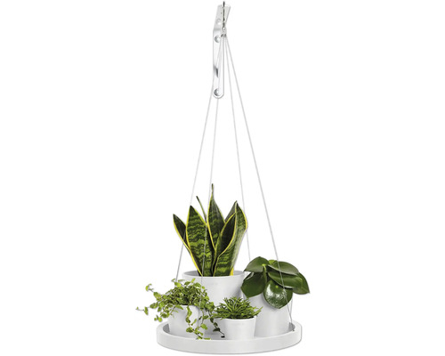 Závěsný květináč s pokojovými rostlinami v květináčích