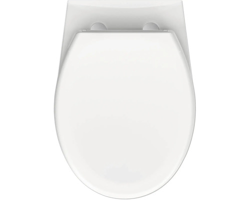 Řez toaletní mísou shora