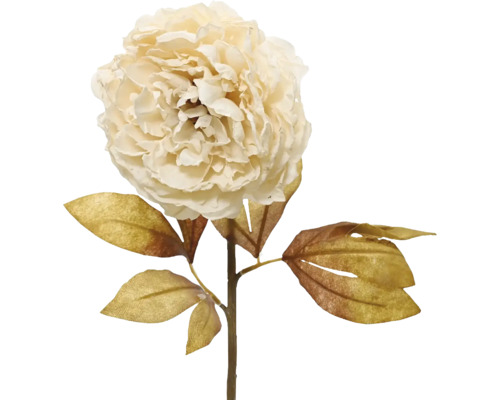 Umělá květina pivoňka 75 cm krémová Dekorativní umělá květina pivoňka s listy