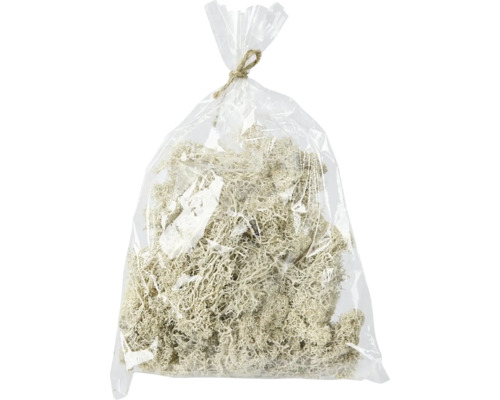 Mech umělý 4 x 17 x 23 cm bílý Balení islandského mechu na dekoraci