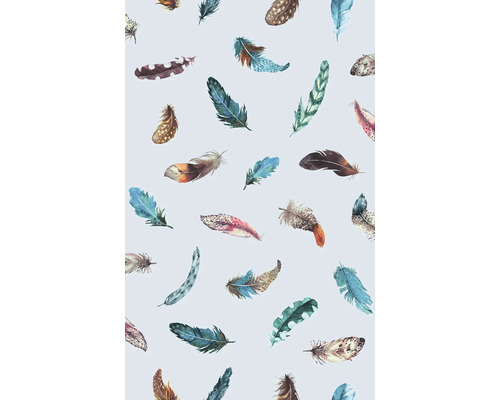 Ilustrace s peřím na světlém pozadí