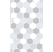 Statická fólie průhledná Glasdekor static Premium Wido 150x67,5 cm