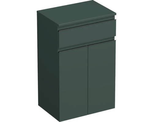 Koupelnová skříňka nízká Intedoor TRENTA šalvějově zelená matná 50 x 83,4 x 35 cm TRE SN 50 1Z 2D B A9146