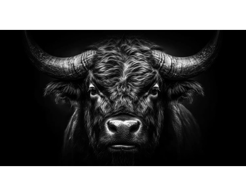 Černobílý portrét býka s rohy