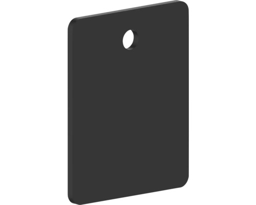 REIKA montážní destička Ovaro pro magnetické příslušenství 40 x 50 mm matně černá Obdélníková deska z akrylového skla s otvorem