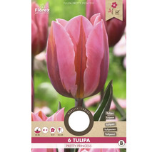 Tulipány 'Pretty Princess' 11/12 6 ks