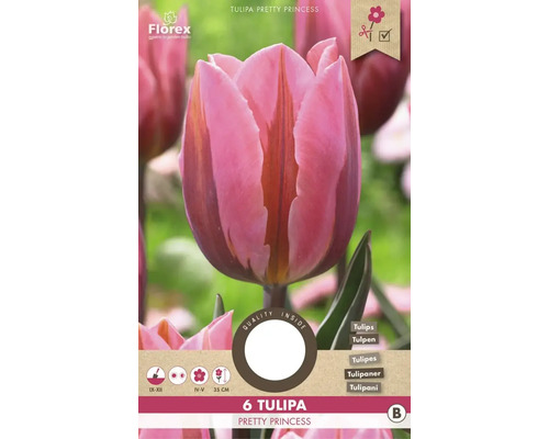 Tulipány 'Pretty Princess' 11/12 6 ks
