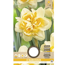 Narcisy 'Peach Cobbler' 3 ks