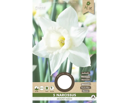 Narcisy 'Mount Hood' 5 ks