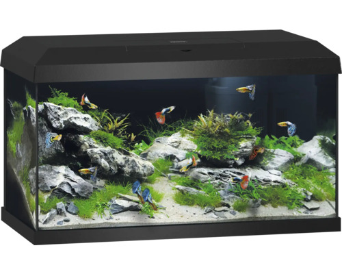 Akvarijní set JUWEL Primo 60 vč. LED osvětlení topítka a filtru 61 x 31 x 36,5 cm objem 57 l