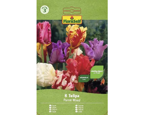 Tulipány FloraSelf 'Mix papouškovitých tulipánů' 8 ks