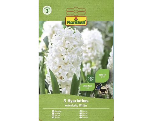 Hyacinty FloraSelf 'Orientalis bílé' 15/16 5 ks