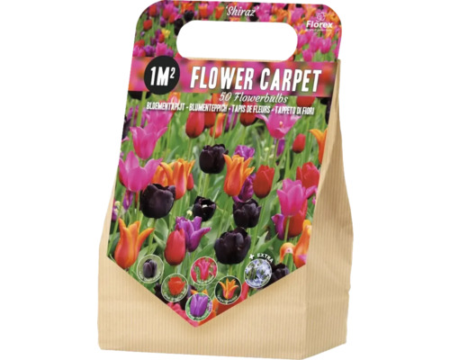 Cibuloviny mix 1 m² 'Triumph red, Mariette, Queen of Night, Triump Purple, Ballerina ' 50 ks Cibuloviny mix 1 m² 'Triumph red, Mariette, Queen of Night, Triump Purple, Ballerina ' 50 ks