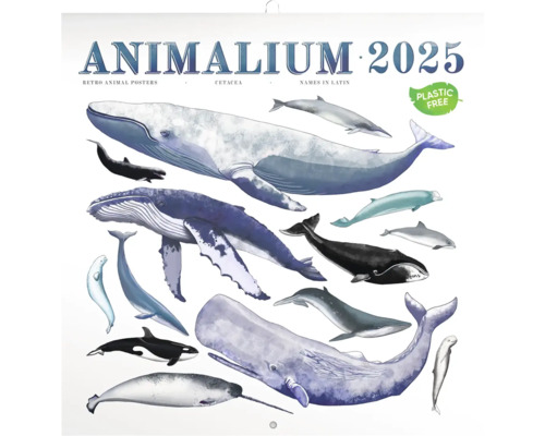 Poznámkový kalendář Animalium 2025