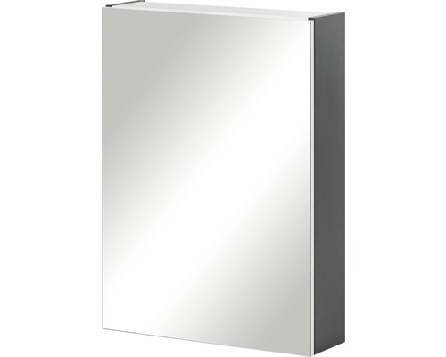 Zrcadlová skříňka Möbelpartner Basic 50 x 15,8 x 70 cm antracit
