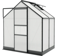 Skleník Vitavia Apollo 2500 polykarbonát 4 mm 195 x 137 cm černý vč. základového rámu