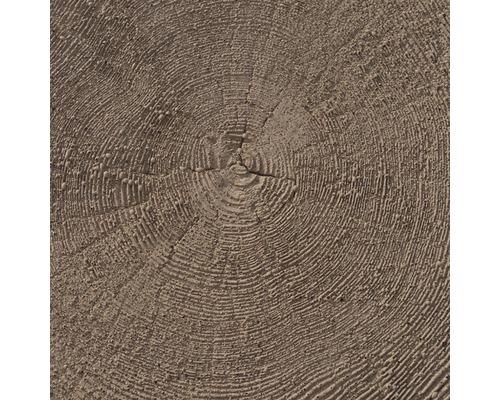 Detailní záběr dřevěného kotouče s letokruhy